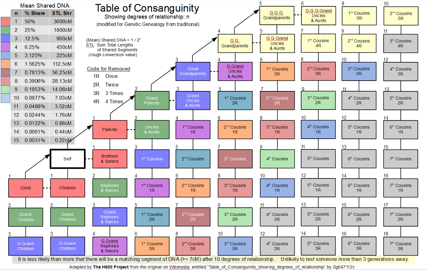 Consanguinity And Affinity Chart