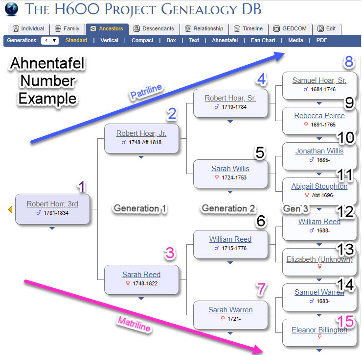 Ahnentafel Number Example